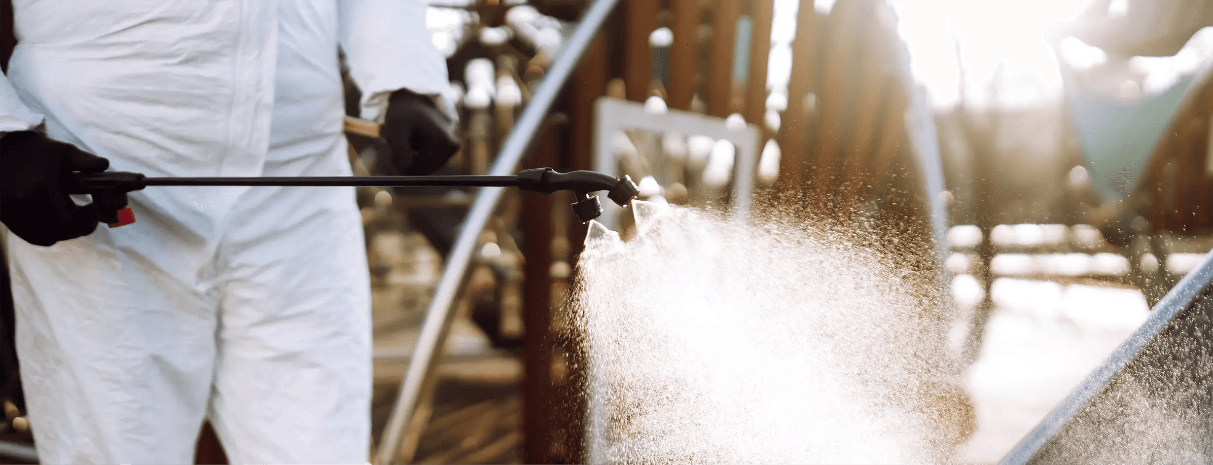 spider spraying